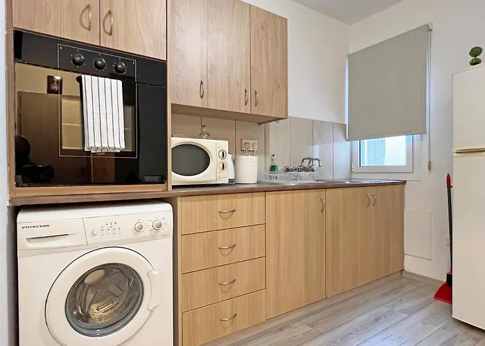 Albert\'S Apartment Center 101